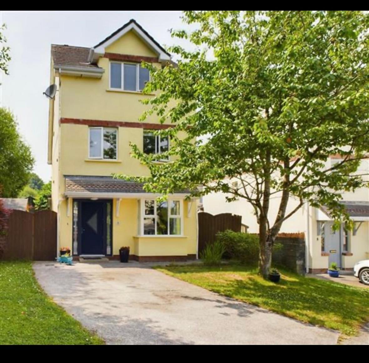 Апартаменти Deluxe Dwelling - 15 Mins From Cork City/Airport Екстер'єр фото